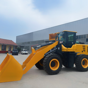 Loader998（LZLT）