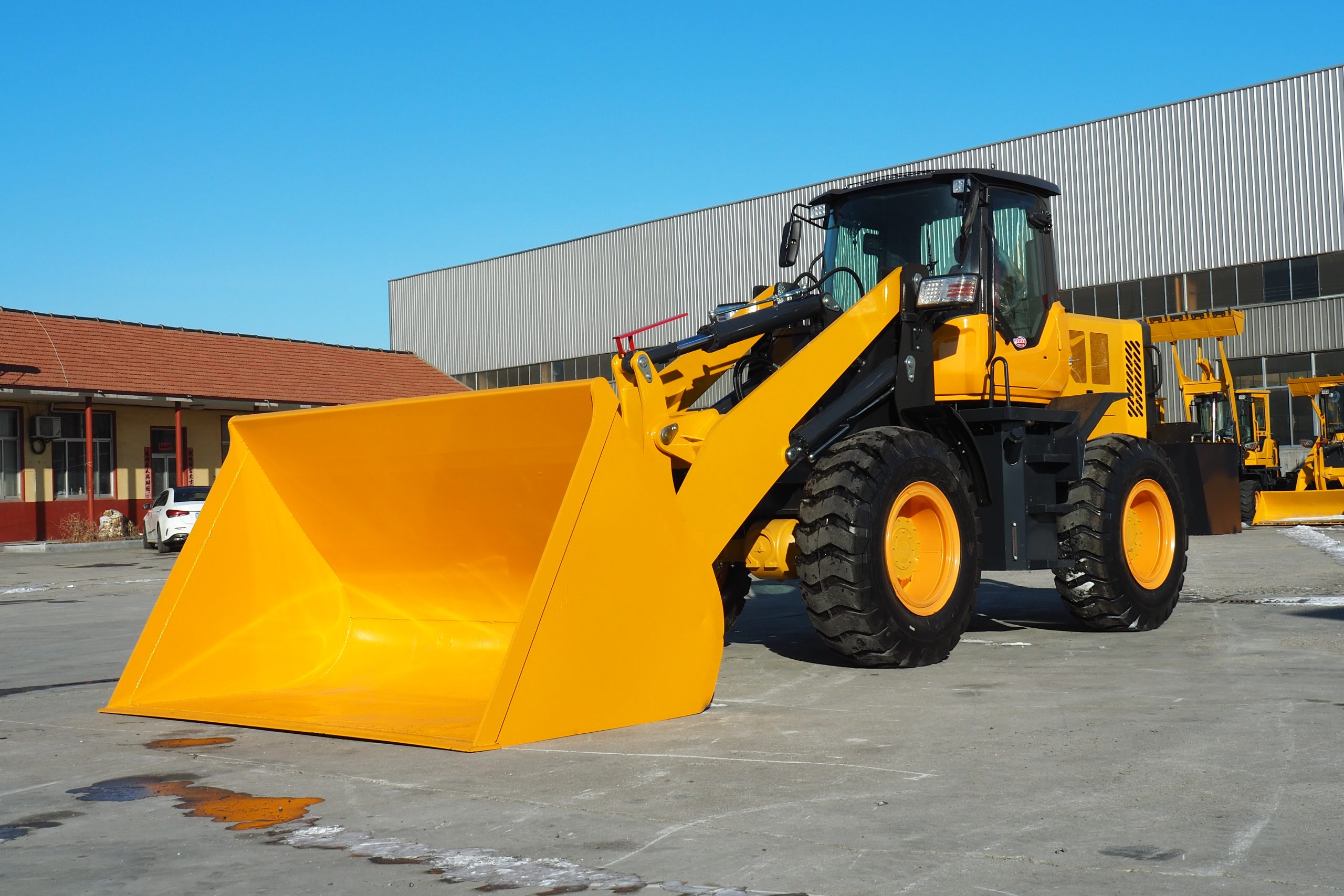 Loader998(LZLT) - Image 5