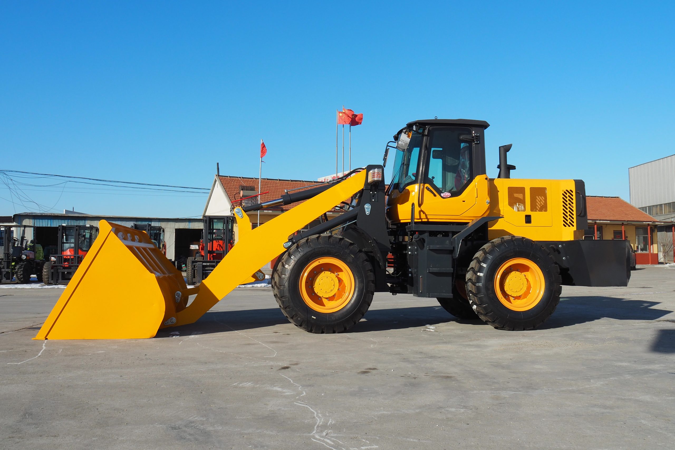 Loader998(LZLT) - Image 7
