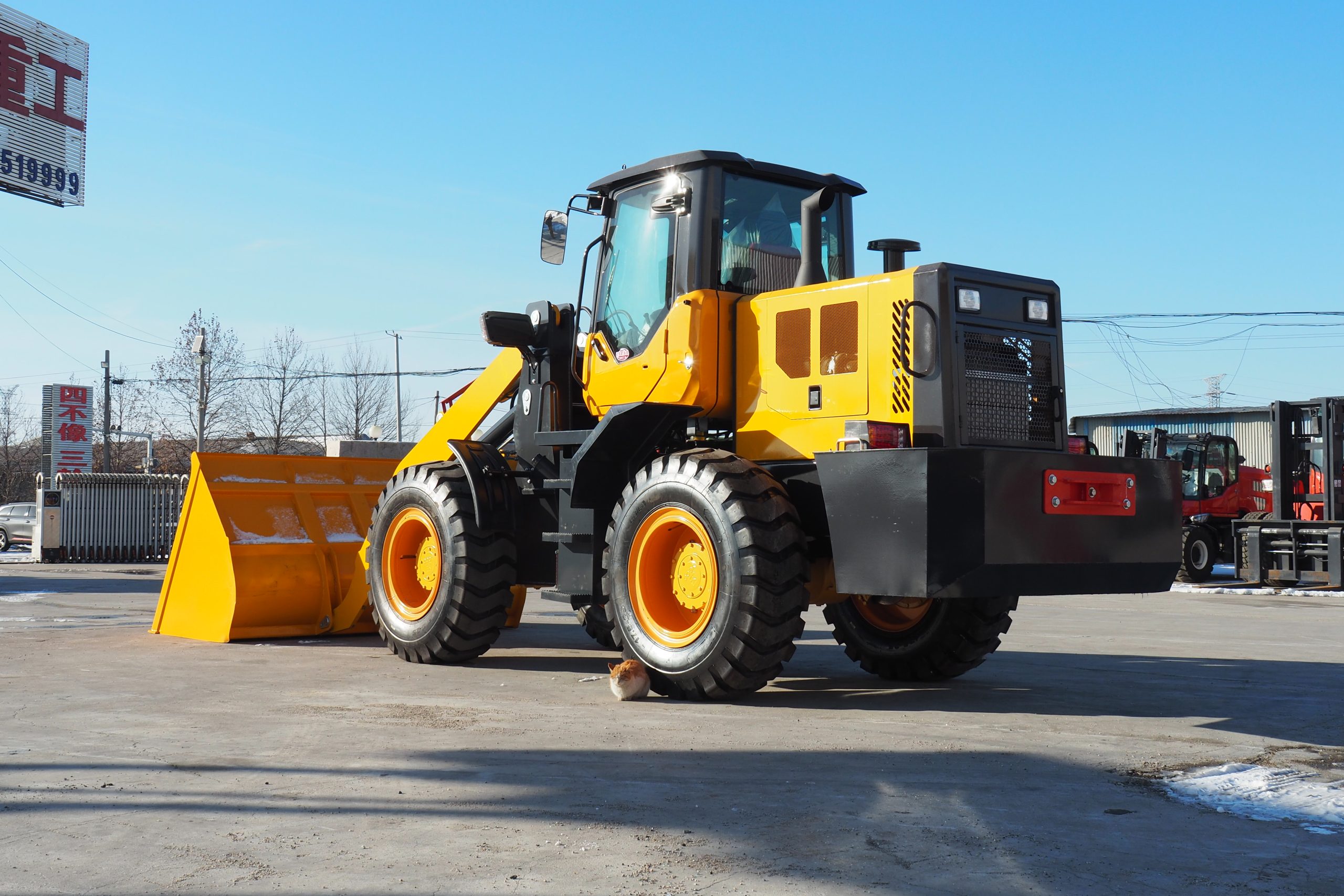 Loader998(LZLT) - Image 9