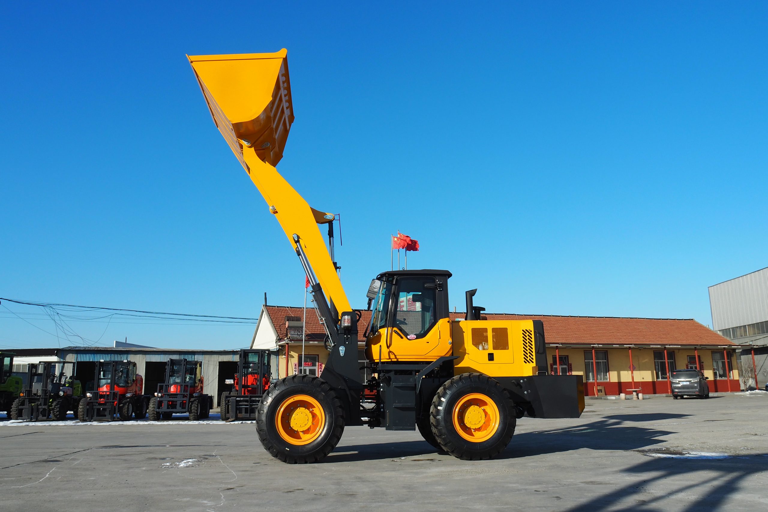 Loader998(LZLT) - Image 12